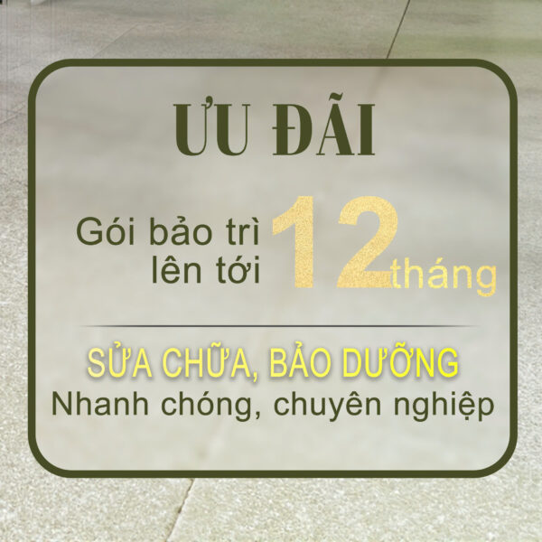 Tặng gói bảo trì thang máy 12 tháng